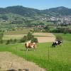 Inzersdorf Blickrichtung Kirchdorf