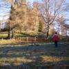 Steinbach, auf dem Weg vom Bauernhaus Obersattel zum Pernecker Bosruck (Hochweide westlich vom Pernecker Kogel)  