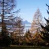 … gleicher Platz – wunderbarer Ausblick auf den Traunstein - schauen wir künftig auf Hochspannungsmasten und Leitungsdrähte?