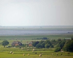 Husum-Schobuell.jpg